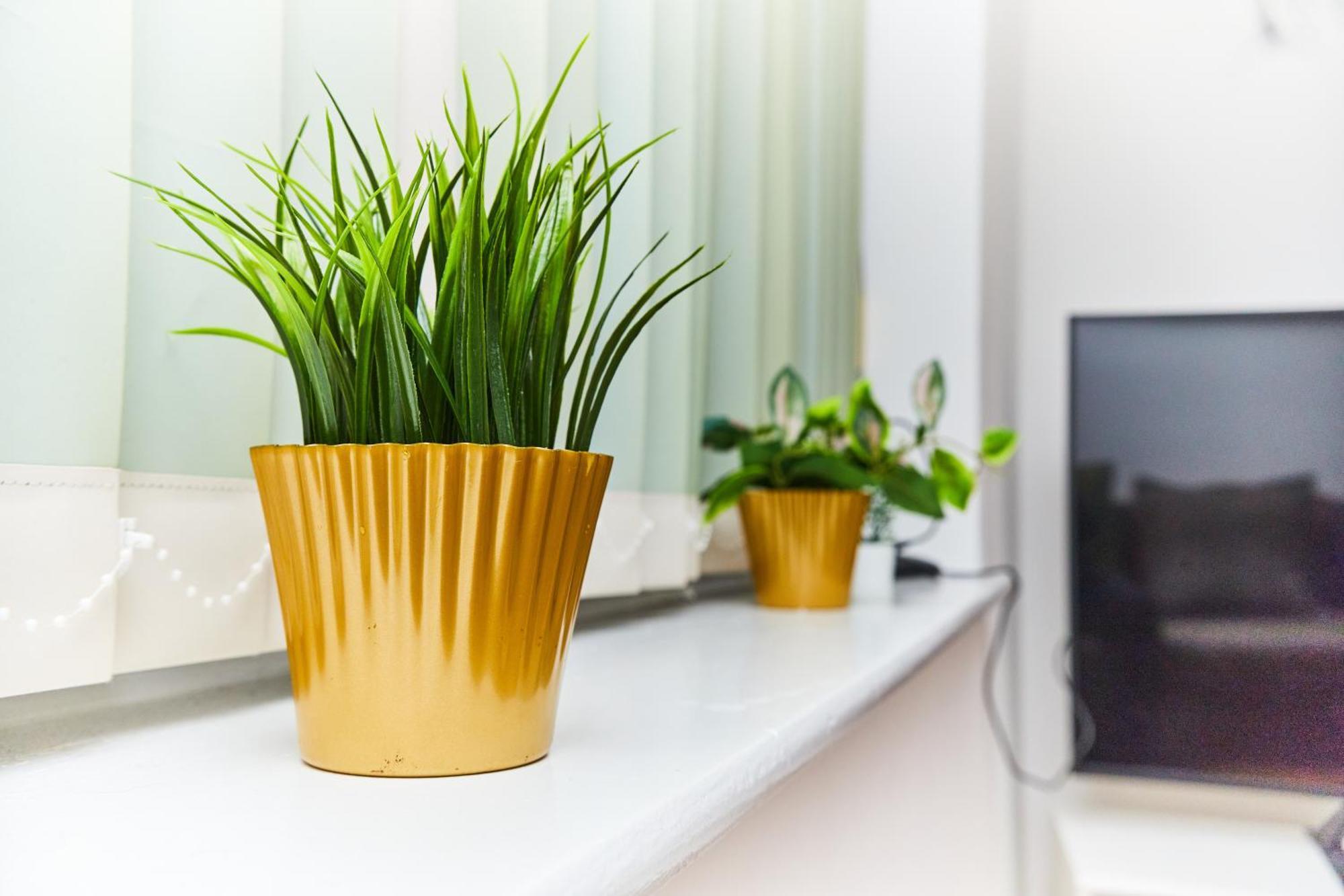 Appartement Emerald A Star Proximity *